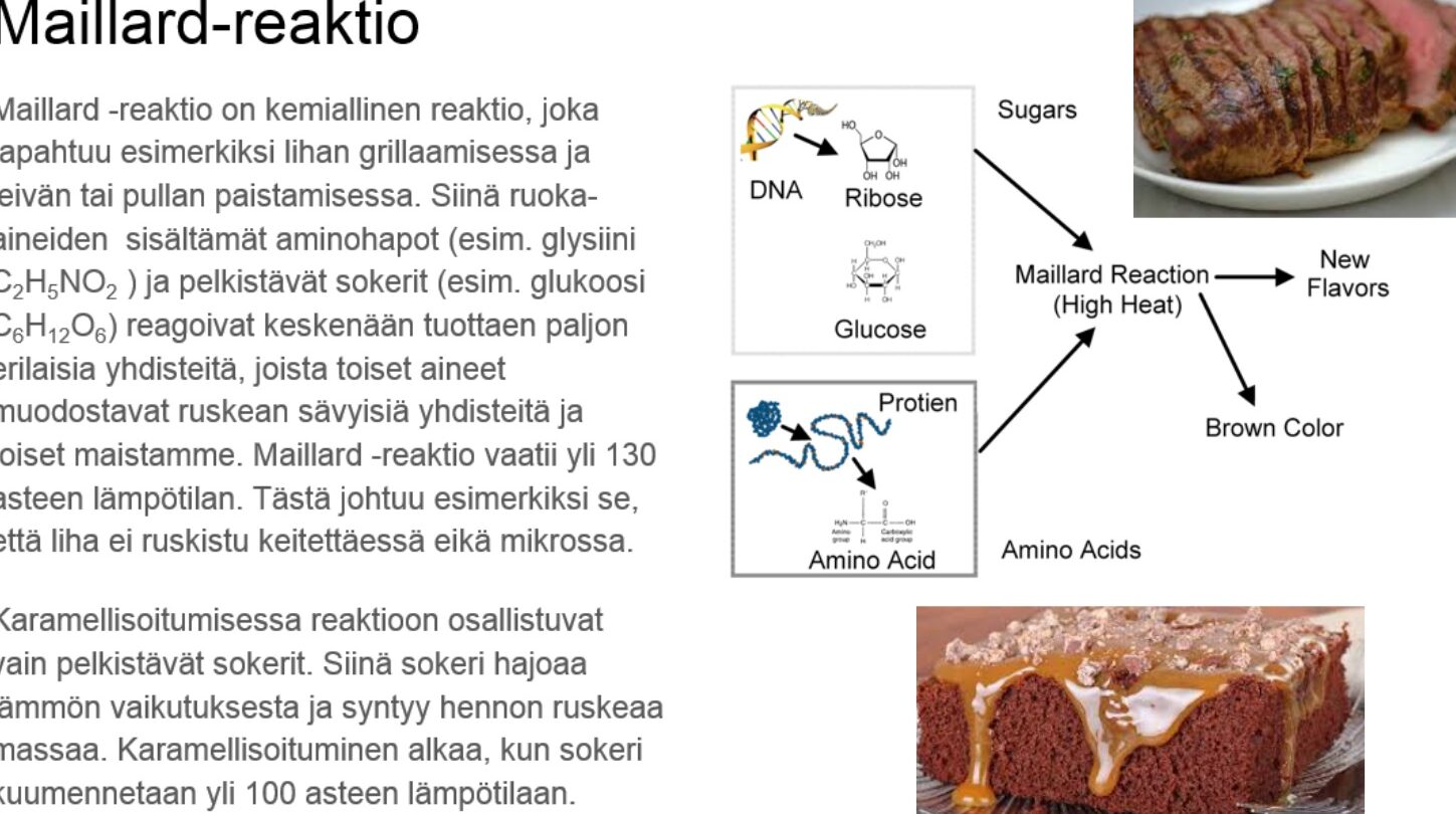 kemian-ty-selostus-esimerkki-ja-sen-rakenne