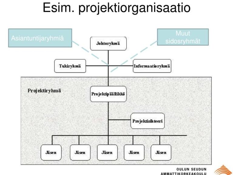 projektiorganisaatio-esimerkki-ja-k-yt-nn-n-ratkaisut